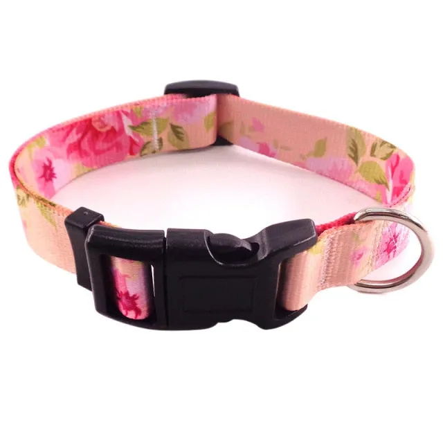 Bohemian Pet Collars Fashion Style