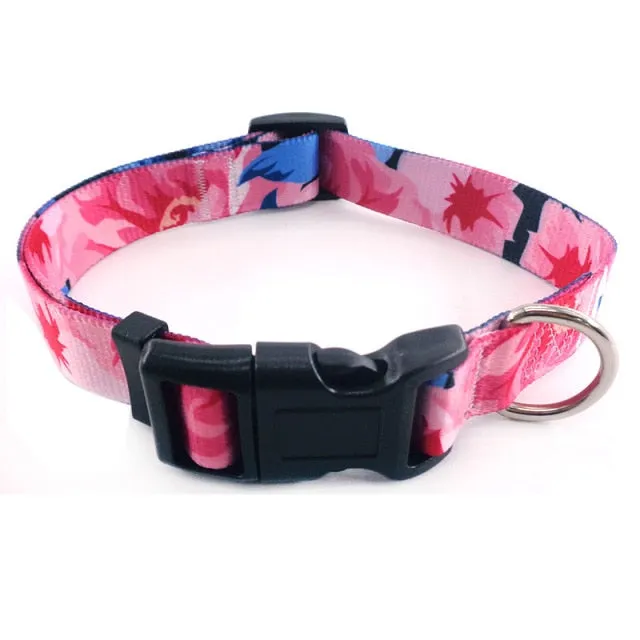 Bohemian Pet Collars Fashion Style