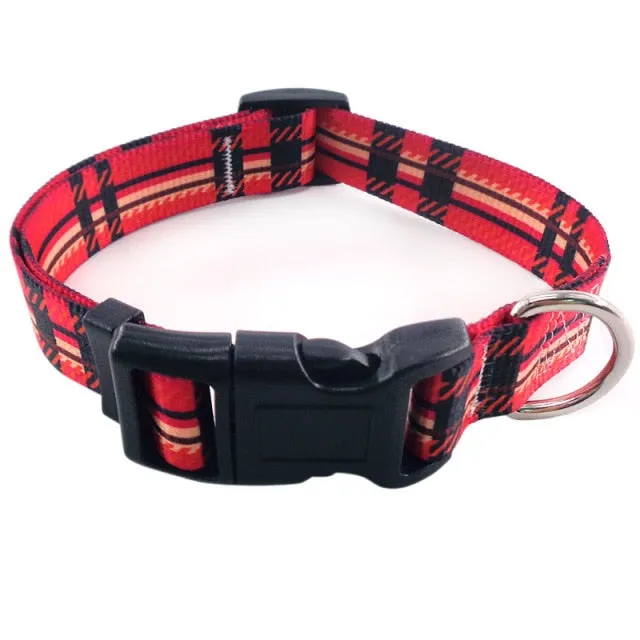 Bohemian Pet Collars Fashion Style