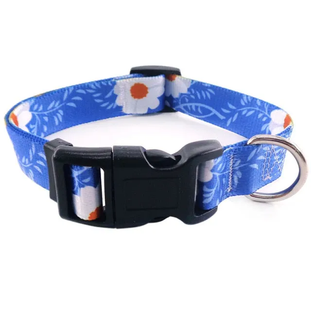 Bohemian Pet Collars Fashion Style