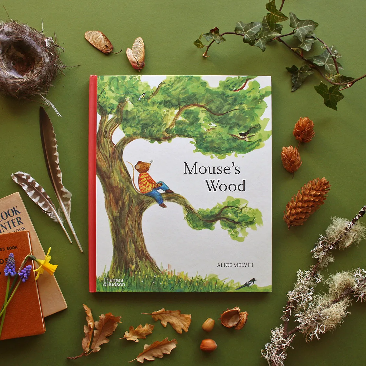 Mouse's Wood: A Year in Nature