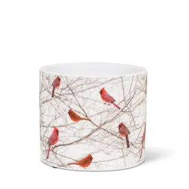 Small Cardinals in Bush Planter
