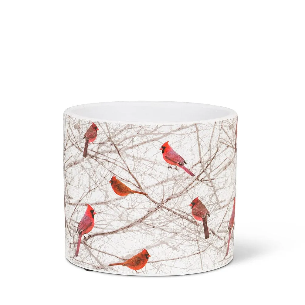 Small Cardinals in Bush Planter